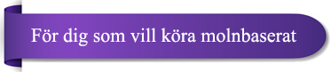 Molnbaserat Tidrapporteringssytem
