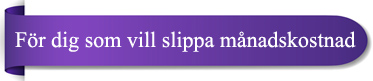 Tidrapporteringssytem fr dig som vill slippa mnadskostnad
