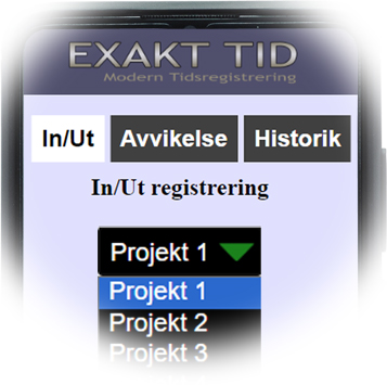 Projektredovisning i webb app